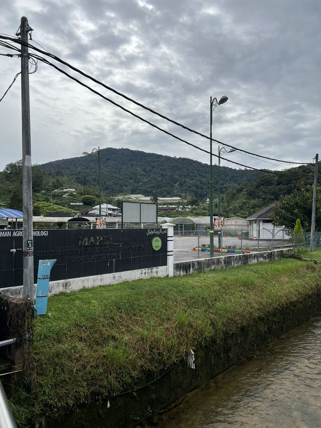 Most attractive place in Malaysia, Cool fresh air.
