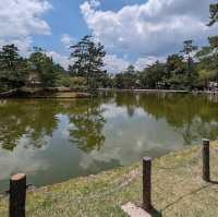 奈良公園（奈良県）