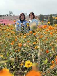 Picturesque Agricultural Theme Park