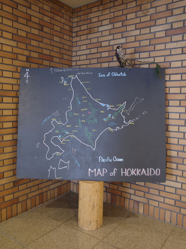 【北海道・旭岳】K’s House Hokkaido【一人旅におすすめ】