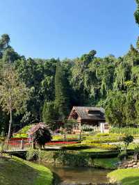 Flora Creek เชียงใหม่