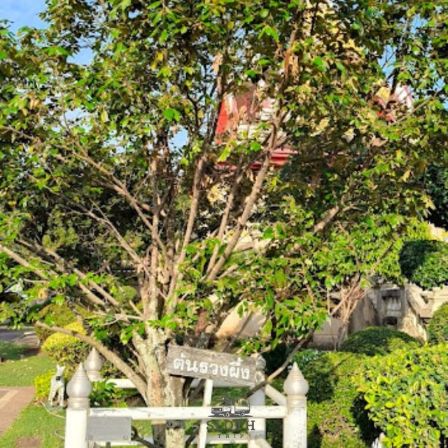 🤩 ศาลหลักเมืองหนองคาย