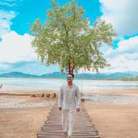 The Mangrove by Blu Monkey 