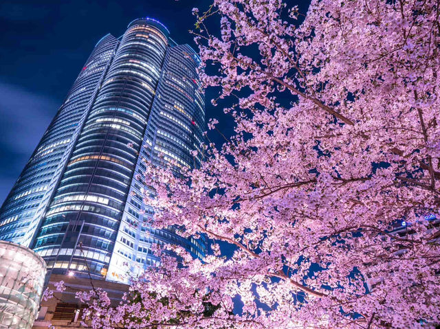 🌟 City Lights & Sakura Dreams: Spring Chillin’ at Midtown Garden! 🌸✨
