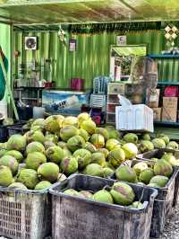 Chilling afternoon at sekinchan coconut farm 