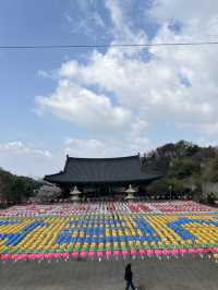튤립축제와 천안 아산 여행