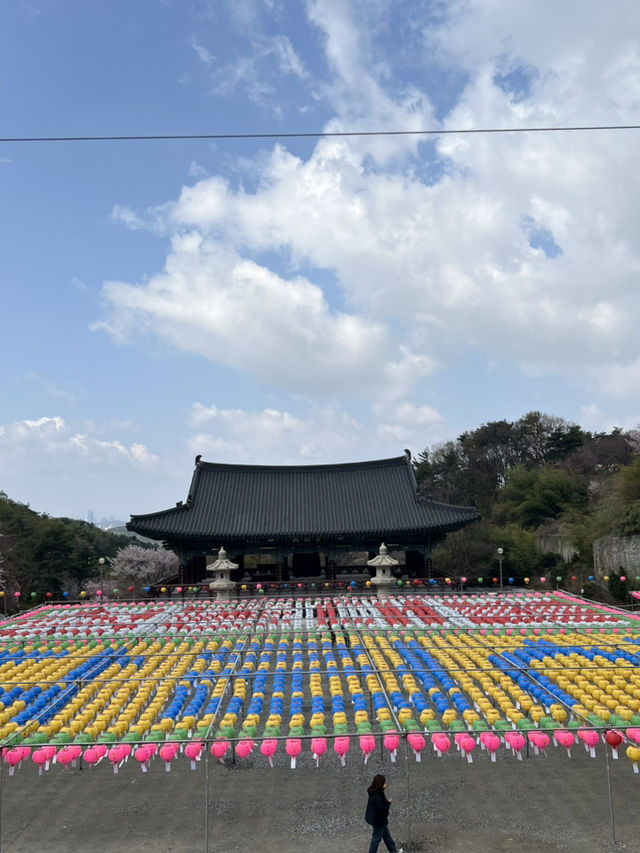 튤립축제와 천안 아산 여행
