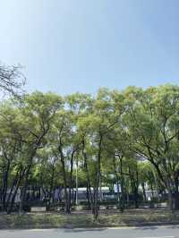 台北｜自由廣場牌樓｜台北的文化