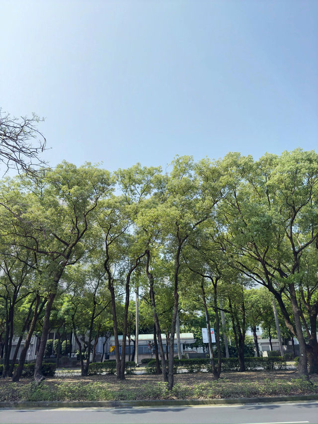 台北｜自由廣場牌樓｜台北的文化