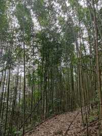 #英桃の天闊營地-新竹縣五峰鄉