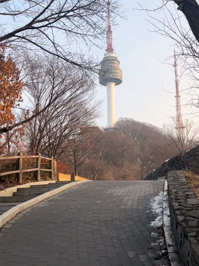 【韓国/ソウル】南山タワーを見ながらお散歩《南山公園》