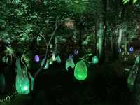 幻想的✨卵たち