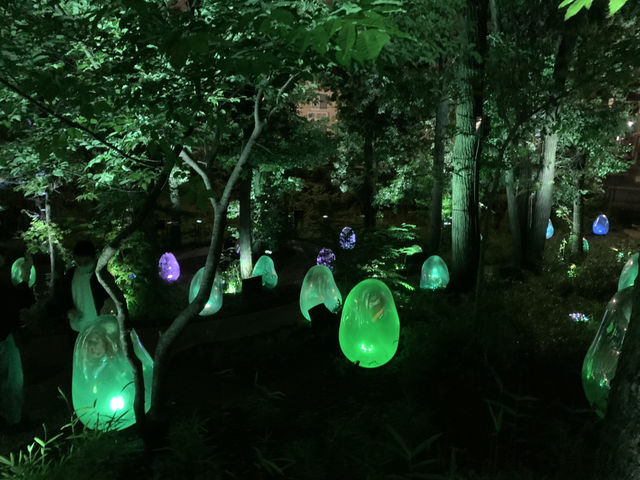 幻想的✨卵たち