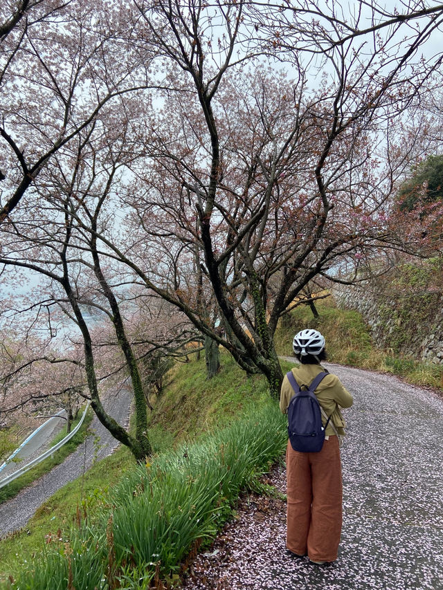 島波海道-尾道到今治的自行車道