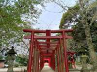 佐賀縣小城市旅行