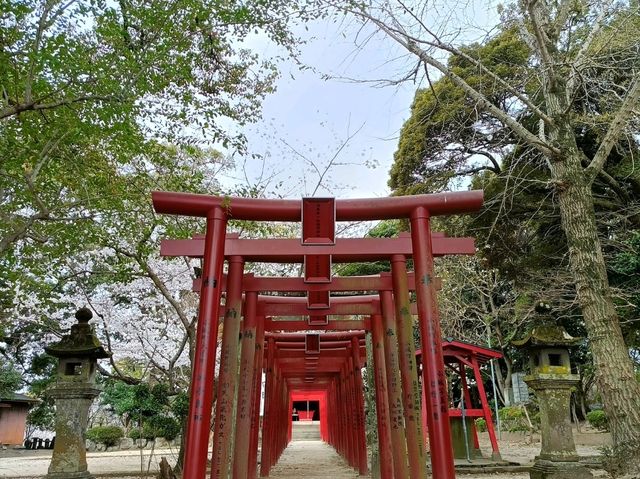 佐賀縣小城市旅行