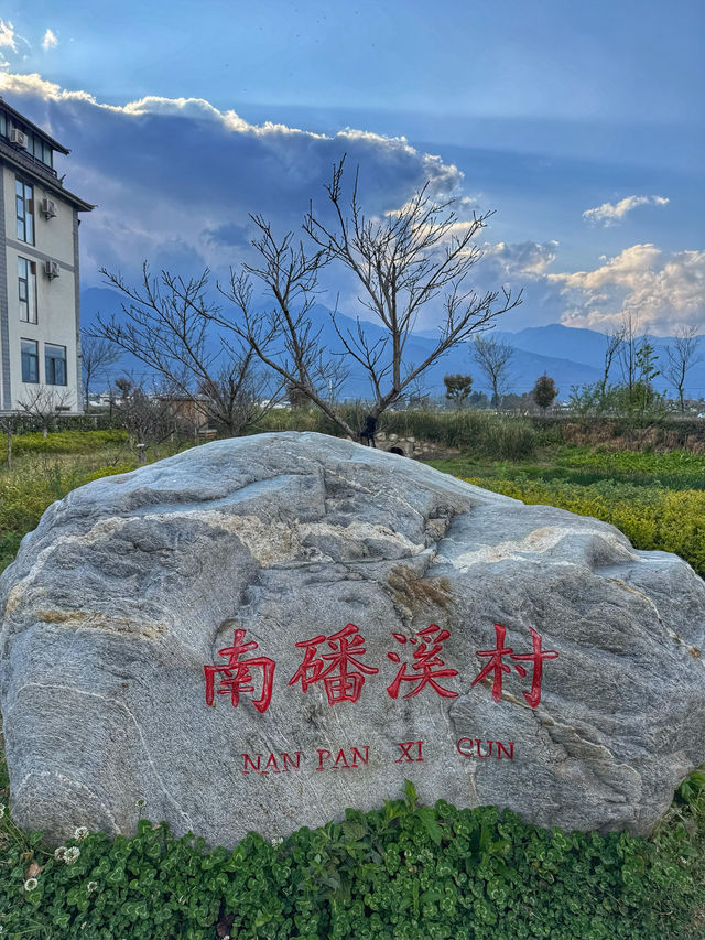 The Perfect Curve: A Springtime Pause at Dali’s Scenic S湾