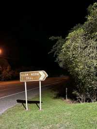 🇳🇿鈕西蘭 西海岸 Hokitika：海邊、森林、樹頂、藍河