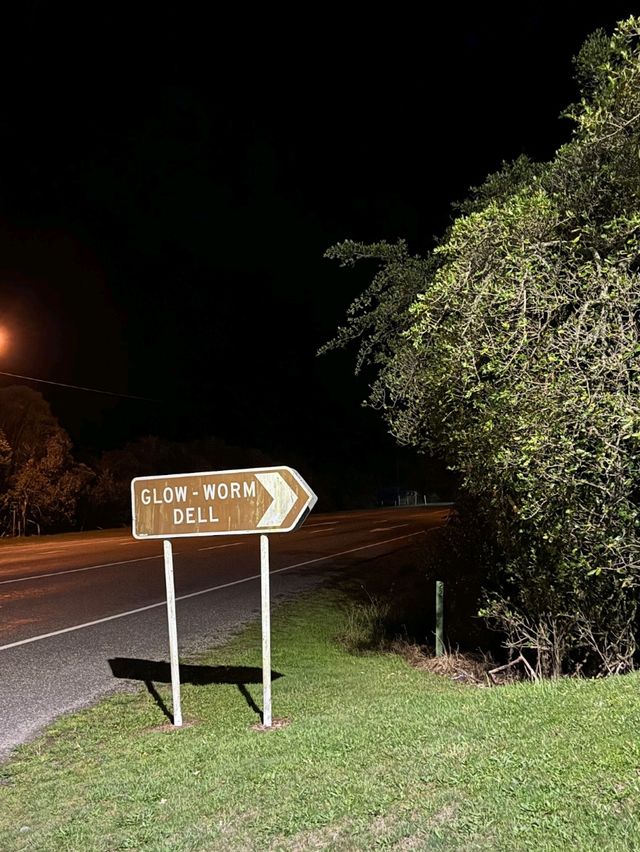 🇳🇿鈕西蘭 西海岸 Hokitika：海邊、森林、樹頂、藍河
