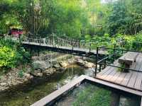 บ้านในหมง treehouse ระนอง