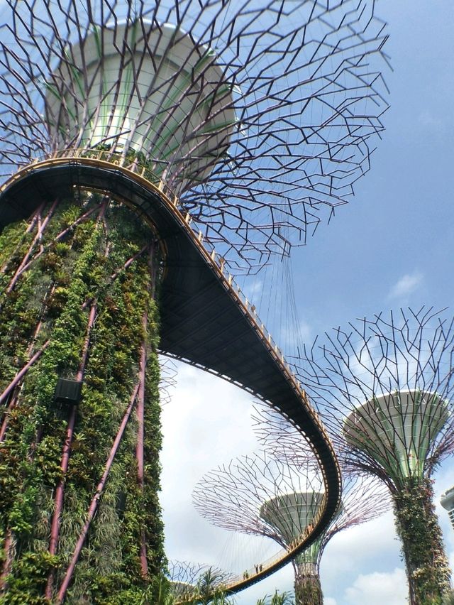 #OCBC Skyway-新加坡濱海灣花園