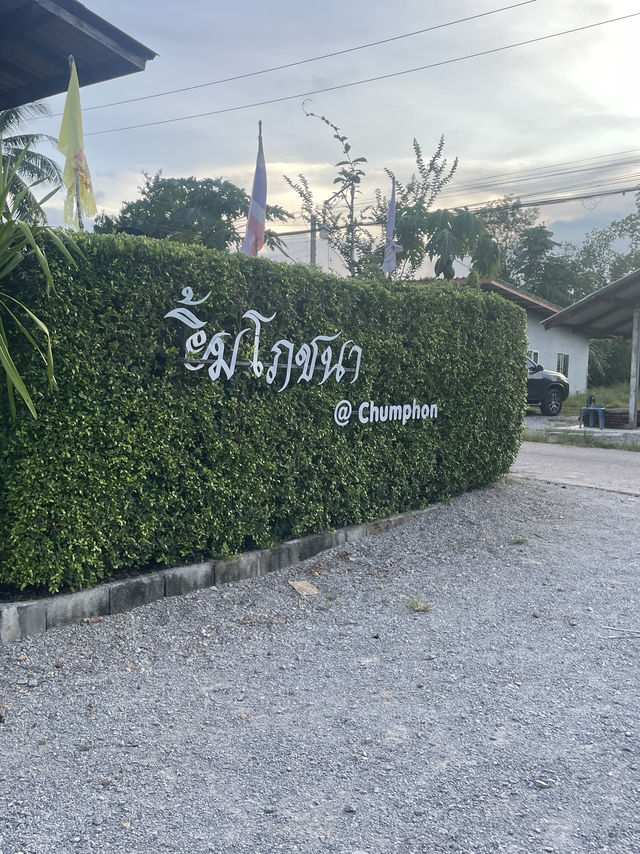 ร้านซี้ฟู้ดดีๆในชุมพร