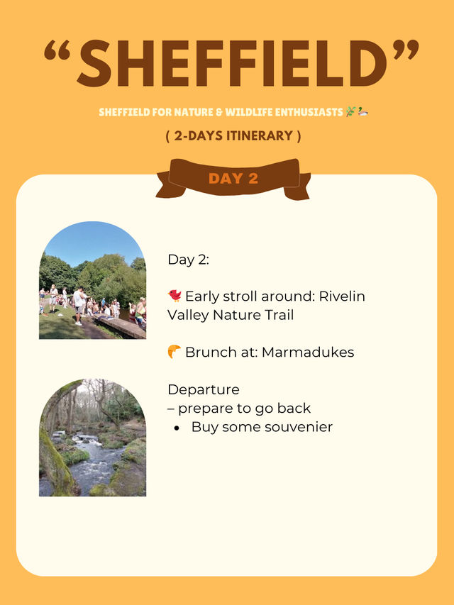 Sheffield for Nature & Wildlife trip