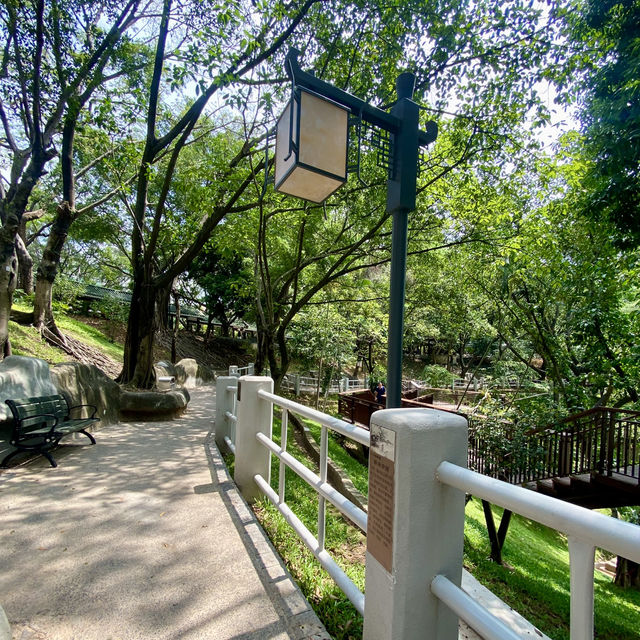探秘歷史建築與城市風光之美✨深圳龍華大浪日遊⛪️🌴🌊 🛍️