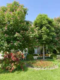 Spring Blooms at Flag Pole Park in Dushanbe