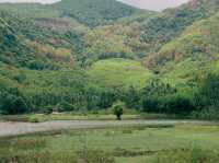 Phù Mỹ