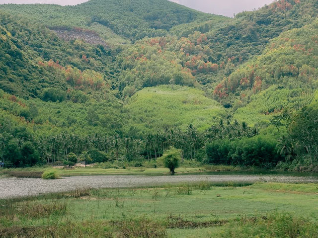 Phù Mỹ