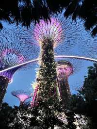How to spend a day in Singapore 🩷