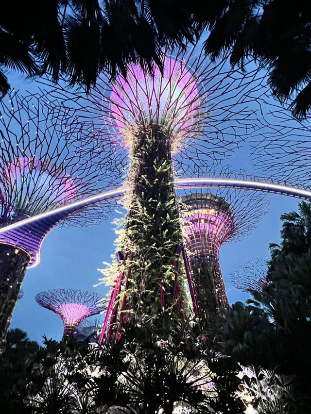 How to spend a day in Singapore 🩷