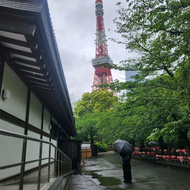 โตเกียวในวันที่ฝนตก โลกเดินช้า
