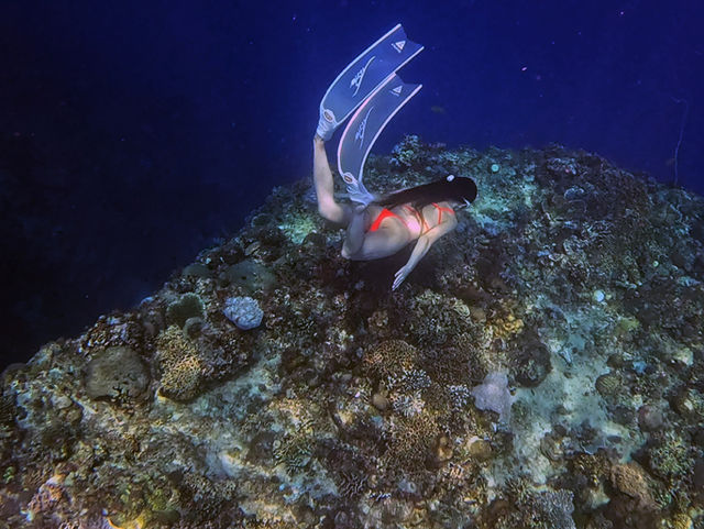 🪸10년 전 보홀 바다의 모습을 그대로 간직한 숨겨진 스팟🐠