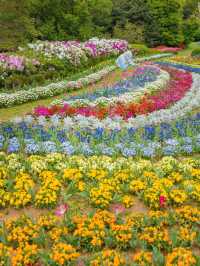 Nokonoshima Island Park สวรรค์คนรักดอกไม้ฟุกุโอกะ