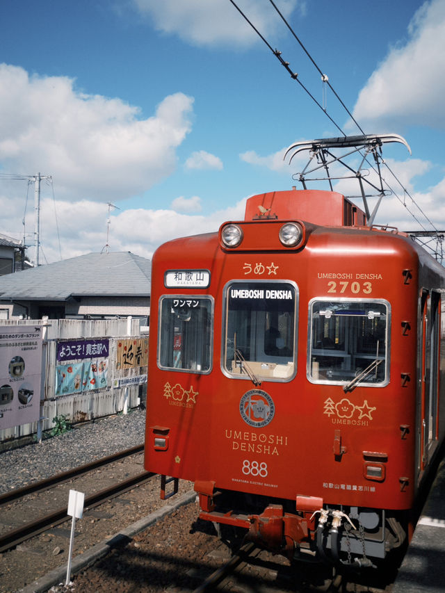 🌸和歌山必體驗｜會微笑的貓咪電車巡禮🐾