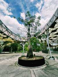 KL’s Green Escape: Morning Bliss at Perdana Botanical Garden
