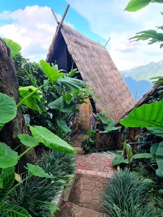 phahee valley เชียงราย