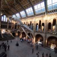 Exploring London and Oxford: A Journey Through History and Culture