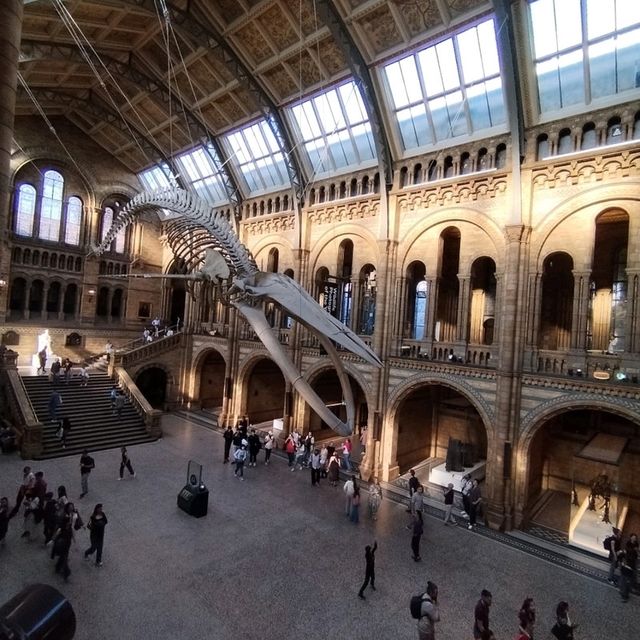 Exploring London and Oxford: A Journey Through History and Culture