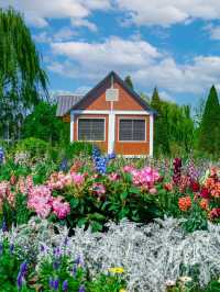 🌸 A Monet Garden in Beijing? Yes, Please! 🌸
