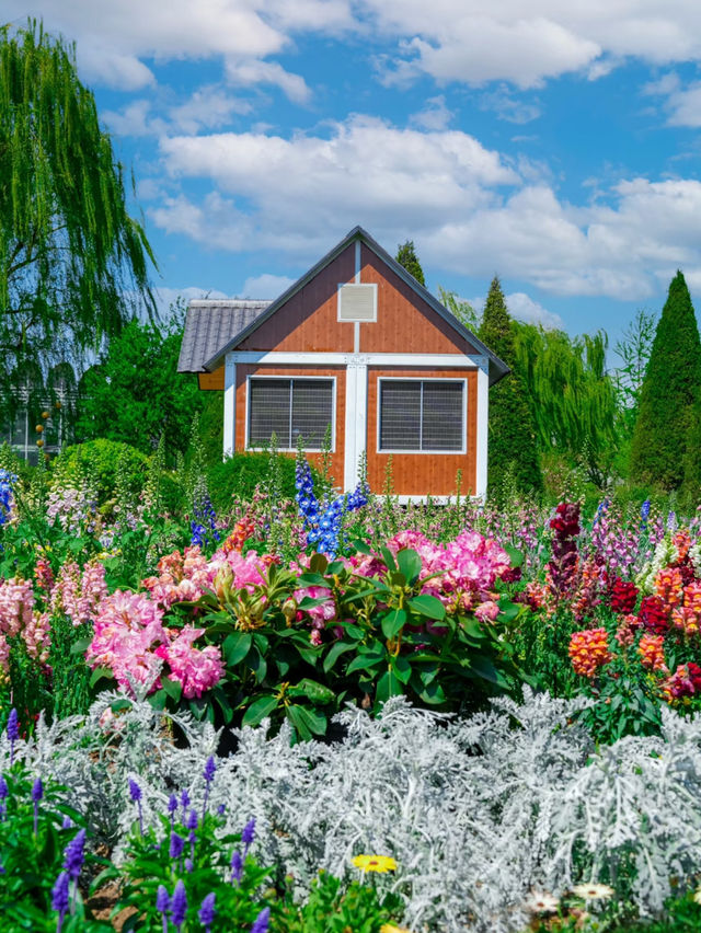 🌸 A Monet Garden in Beijing? Yes, Please! 🌸