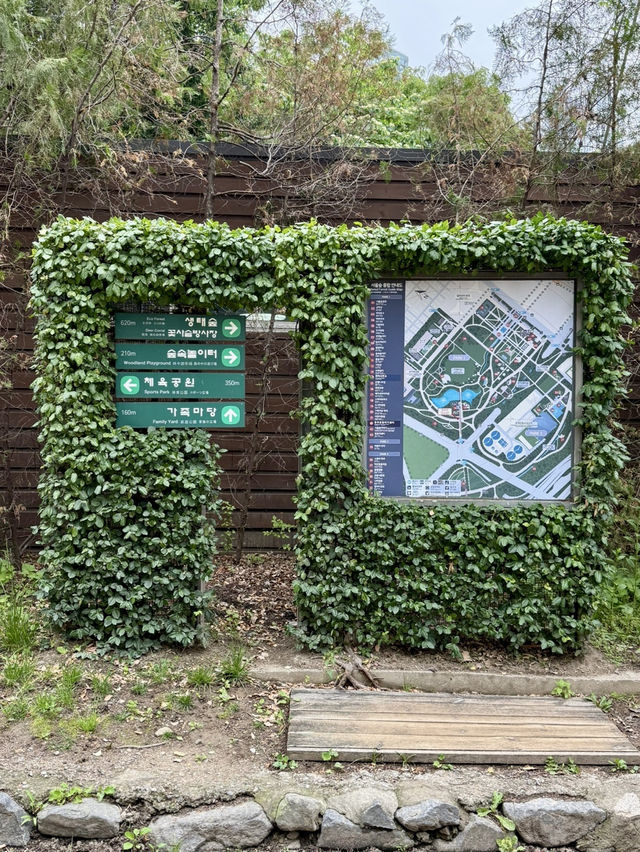 도심 속 힐링, 서울숲 산책 후기