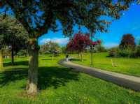 Mississauga – A Vibrant City by the Lake