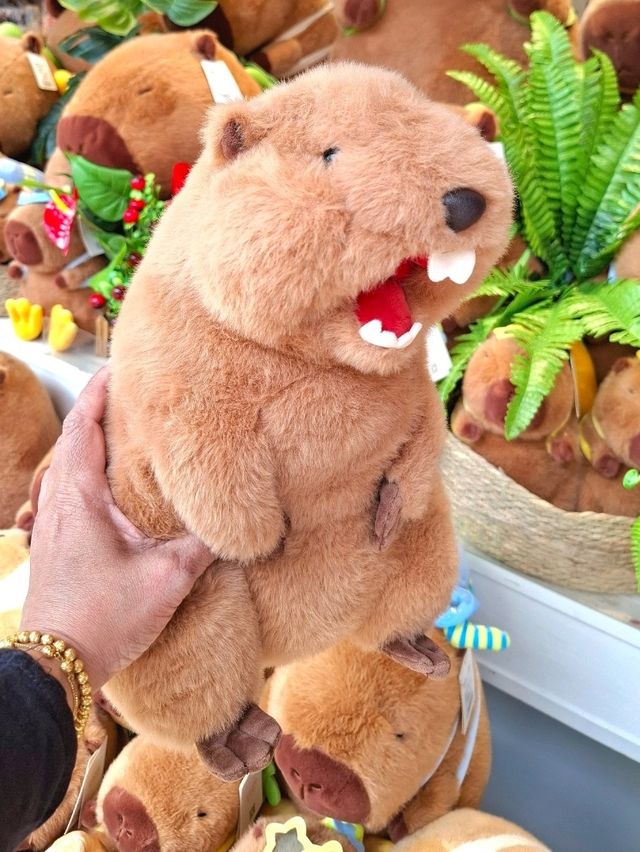 CUTENESS OVERLOAD IN LENLE STORE, KUNMING