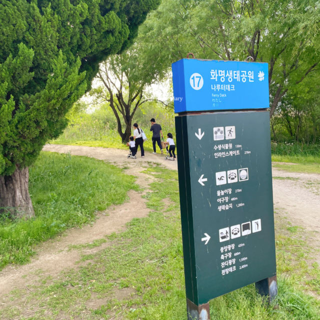 이번 주말, 생태공원에서 피크닉 즐겨보세요!🧺🍃☘️