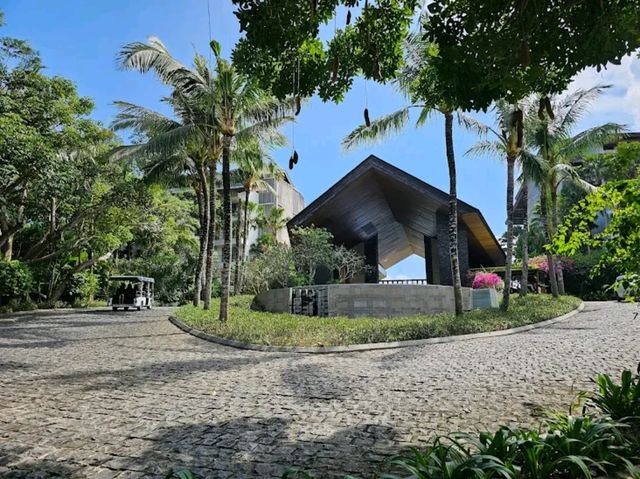 “RIMBA by AYANA – The Hidden Oasis of Elegance”
