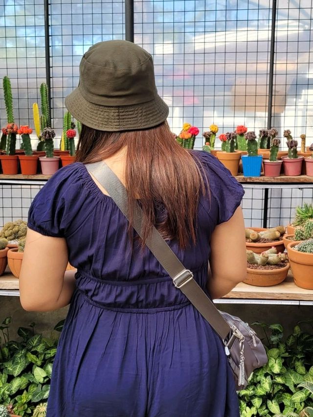 Baguio’s Greenhouse Gems