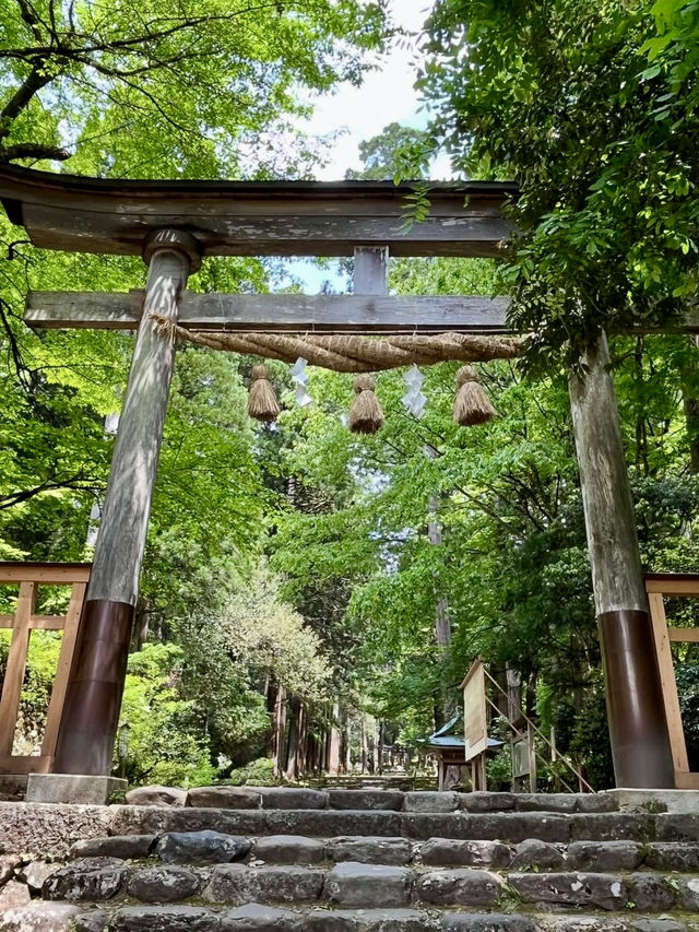 A Slow Day in Fukui – Dinosaurs, Temples & Sweet Treats